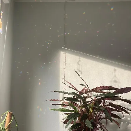 Appartement Stylische Maisonettewohnung Stadionnaehe,wald,westfalenhalle