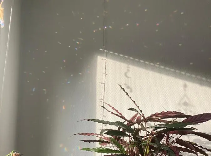 Apartment Stylische Maisonettewohnung Stadionnähe,wald,westfalenhalle